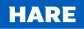 HARE Logo: Innovative solutions for accelerated business growth and success